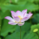 岛屿读书