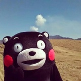 卞冬