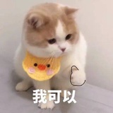 咕噜咕噜
