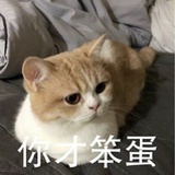 小舞