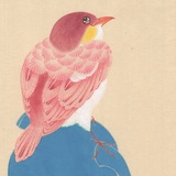 青苔上