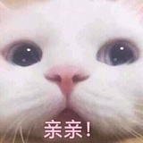 桃子