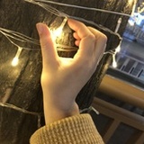 由马
