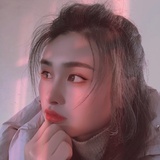 乔木 天堂