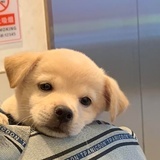 彦祖的小宝贝☻