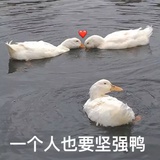 慢慢热