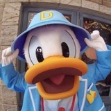 逗兜儿