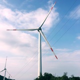醉清风