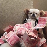 黄金矿山一矿工