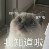对影成三人