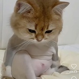 米菲儿