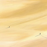 景