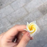金刚逗比