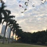 墨如白