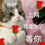气泡桃桃有票版