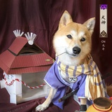 王大宝