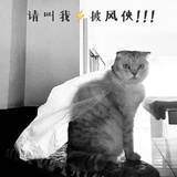 暗色土豆泥