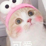 一嫣语萌萌一