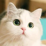仙草