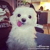 Q_the_Q