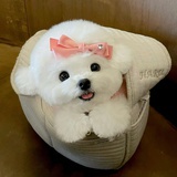 AA源石新鲜现烤