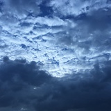 木