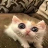 少管我
