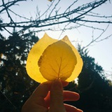 @下絘