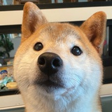 蛋饺肉丝