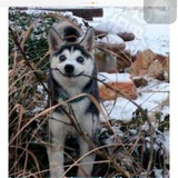 别说了、你都对