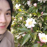 我独自升级
