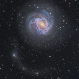coma berenices