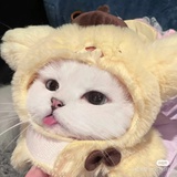 啊对对对