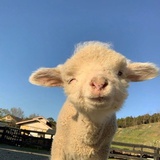 辻