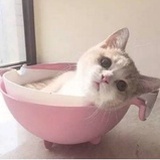 葡萄成熟时