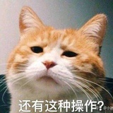 喵喵鲨