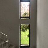 阿树