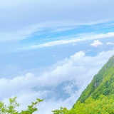 等风来