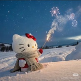 摩卡向日葵船长