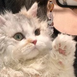 中奖绝缘体