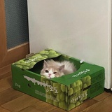 海风