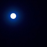 水中捉月