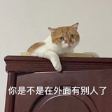 marry-sui