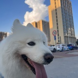 一礼