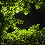 朝阳初升