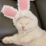 叱嗯大魔王