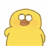 biu
