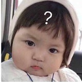 不动杆菌