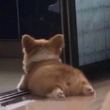 已注销