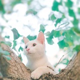 悠口悠心